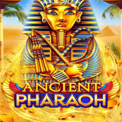 Explore AncientPharaoh: The Thrilling Online Adventure with HAMMOCK PG Oficial